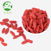 Fruits secs baies de goji conventionnelles et baies de goji bio